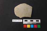 藏品(陶片)的圖片