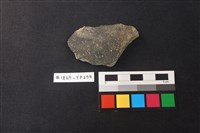 藏品(陶片)的圖片