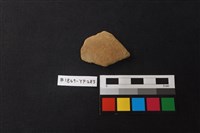 藏品(陶片)的圖片