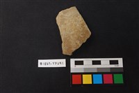 藏品(陶片)的圖片