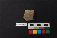 藏品(陶片)的圖片