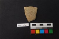 藏品(陶片)的圖片