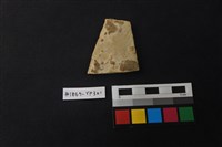 藏品(陶片)的圖片