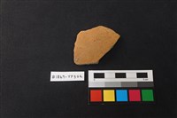 藏品(陶片)的圖片