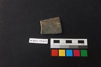 藏品(陶片)的圖片