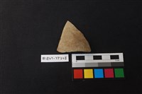 藏品(陶片)的圖片