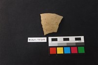 藏品(陶片)的圖片