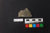 藏品(陶片)的圖片