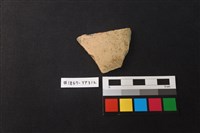 藏品(陶片)的圖片