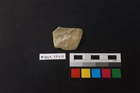 藏品(陶片)的圖片