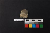 藏品(陶片)的圖片