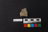 藏品(陶片)的圖片