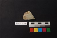 藏品(陶片)的圖片