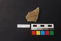 藏品(陶片)的圖片