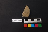 藏品(陶片)的圖片