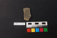 藏品(陶片)的圖片