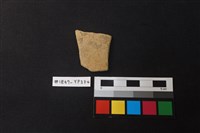 藏品(陶片)的圖片