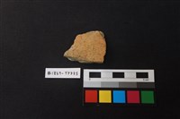 藏品(陶片)的圖片