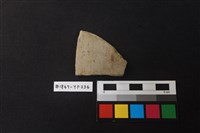 藏品(陶片)的圖片