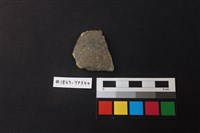 藏品(陶片)的圖片