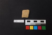 藏品(陶片)的圖片