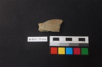 藏品(陶片)的圖片