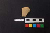 藏品(陶片)的圖片