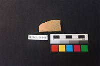 藏品(陶片)的圖片