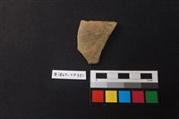 藏品(陶片)的圖片