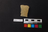 藏品(陶片)的圖片