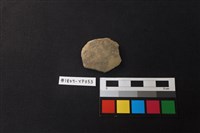 藏品(陶片)的圖片