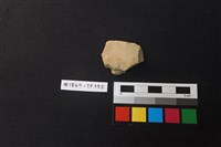 藏品(陶片)的圖片