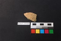 藏品(陶片)的圖片