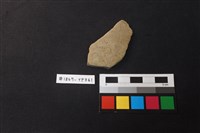 藏品(陶片)的圖片