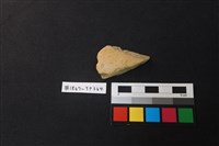 藏品(陶片)的圖片