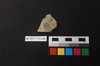 藏品(陶片)的圖片