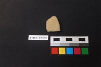 藏品(陶片)的圖片