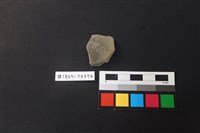 藏品(陶片)的圖片