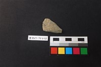 藏品(陶片)的圖片