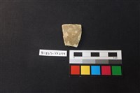 藏品(陶片)的圖片