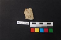 藏品(陶片)的圖片