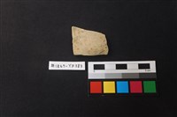 藏品(陶片)的圖片