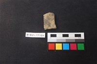 藏品(陶片)的圖片