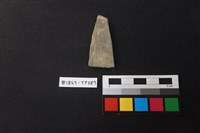 藏品(陶片)的圖片