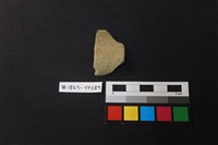 藏品(陶片)的圖片