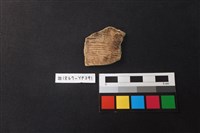 藏品(陶片)的圖片