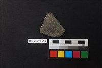 藏品(陶片)的圖片