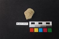 藏品(陶片)的圖片