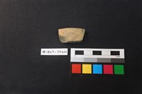 藏品(陶片)的圖片