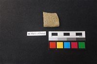 藏品(陶片)的圖片